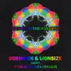 Hymn for the Weekend (Cover Remix) [feat. Vyel & Sophia Omarji] - Single album lyrics, reviews, download