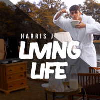 Harris J. - Living Life artwork