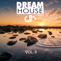 Verschiedene Interpreten - Dream House, Vol. 9 artwork