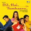 Dil Hai Tumhaara (Original Motion Picture Soundtrack)