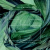 Evergreen Fields - EP