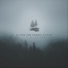 Along the Forest Floor - Single