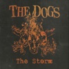 The Storm - Single