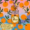 Clementines & Mason Jars - EP album lyrics, reviews, download