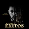 Zorro Viejo (feat. Menor Menor, Lil Boy, Kbp, Anthony B, Dary, Ángel Phass & Merek) [Remix] song lyrics