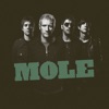 Mole