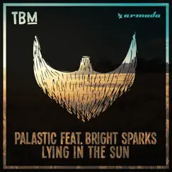 Lying In the Sun (feat. Bright Sparks) - Single by Palastic album reviews, ratings, credits