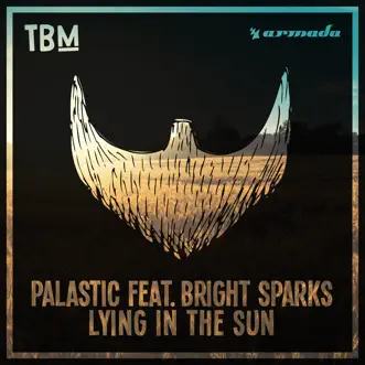 Lying In the Sun (feat. Bright Sparks) by Palastic song reviws