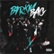 Birkin Bag - Trl lyrics