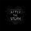 After the Storm - Single