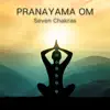 Seven Chakras - Single album lyrics, reviews, download