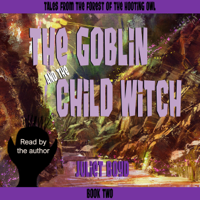 Juliet Boyd - The Goblin and the Child Witch: Tales from the Forest of the Hooting Owl, Book 2 (Unabridged) artwork