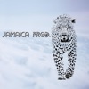 Snow - Single