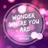 Wonder Where You Are (Hakan Sonmez Remix) - Single album lyrics, reviews, download