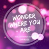 Wonder Where You Are (Hakan Sonmez Remix) - Single