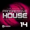 The Sound of Progressive House, Vol. 14