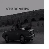 Sorry For Nothing artwork