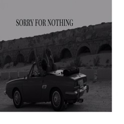 SORRY FOR NOTHING cover art