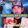 Pengadilan Cinta