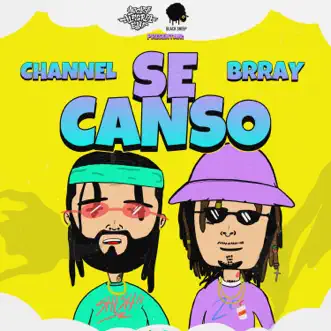 Se Canso - Single by Brray & Chanell album reviews, ratings, credits