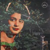 Sevim Şengül - Sarmaşık Gülleri