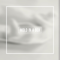 Phonos - Mold in a Box - EP artwork