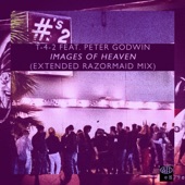 Images of Heaven (feat. Peter Godwin) [Extended Razormaid Remix] artwork