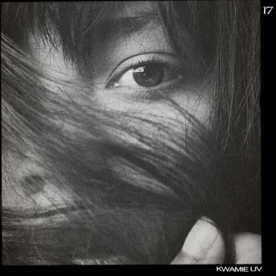 Cover artwork for 17