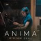 Anima artwork