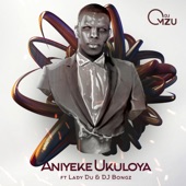 Aniyeke Ukuloya (feat. Lady Du & DJ Bongz) artwork
