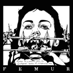 Femur - Knife Fight in the Basement