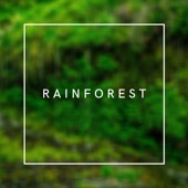 Rainforest artwork