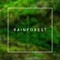 Rainforest artwork