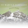 Ce Măreț e Dumnezeu - Single