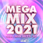 MEGA MIX 2021 -ALL MIX HITS 30- mixed by ERIKA (DJ MIX) artwork