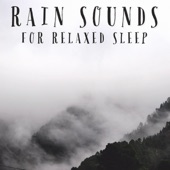 Rain Sounds For Relaxed Sleep artwork