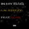In My Bag (feat. Sl8r) - A.N. Steezy lyrics