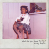 Mickey Guyton - What Are You Gonna Tell Her?  artwork