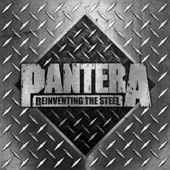 Reinventing the Steel (20th Anniversary Edition) artwork