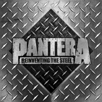 Pantera - Reinventing the Steel (20th Anniversary Edition) artwork