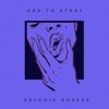 Had To Stray - Single