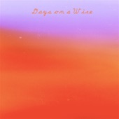 Days on a Wire by Case