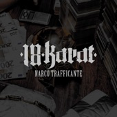 Narco Trafficante artwork