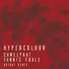 Hypercolour (ARTBAT Remix) song lyrics