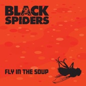 Fly in the Soup artwork