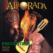 Encuentros / Raza Inka artwork
