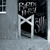 Bird and Horse - Mending Fences (feat. Scott Boutier & Peter Breen)