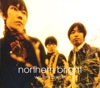 NORTHERN BRIGHT