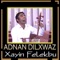 Wey Lo Lo (feat. Ramazane Suvık) - Adnan Dilxwaz lyrics