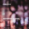 Yesterday Is Gone - Single